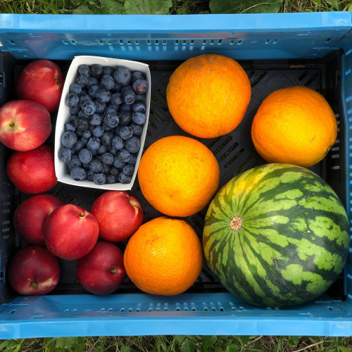 fruitpakket