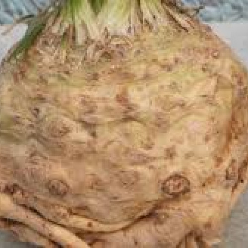 knolselder